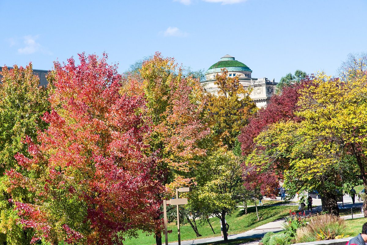 Red, orange and yellow autumn trees on the Iowa State University campus in Ames, with a green-domed stone building rising behind them