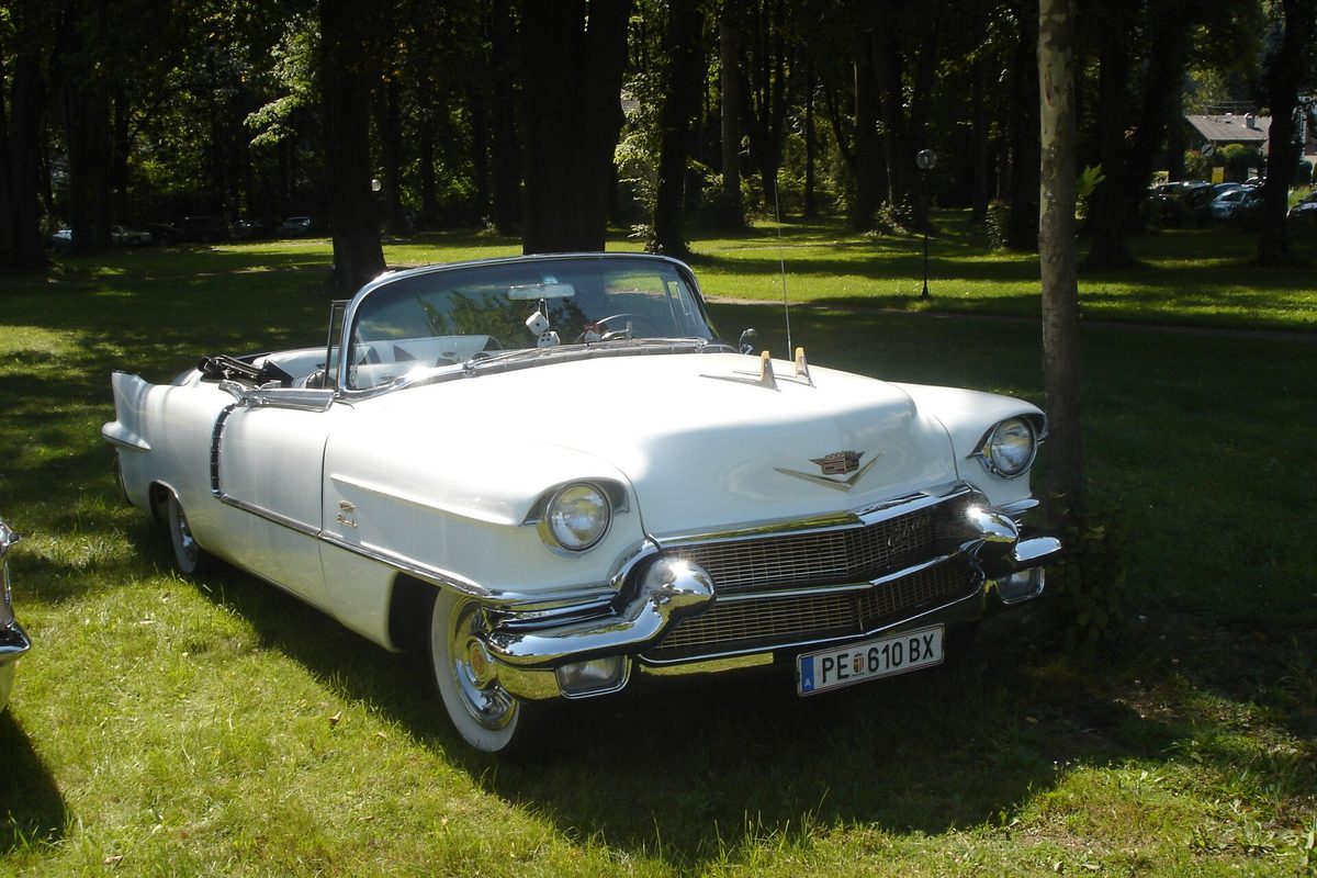 A white 1950s Cadillac Eldorado convertible with its top down and chrome bumpers, parked on grass under tall trees