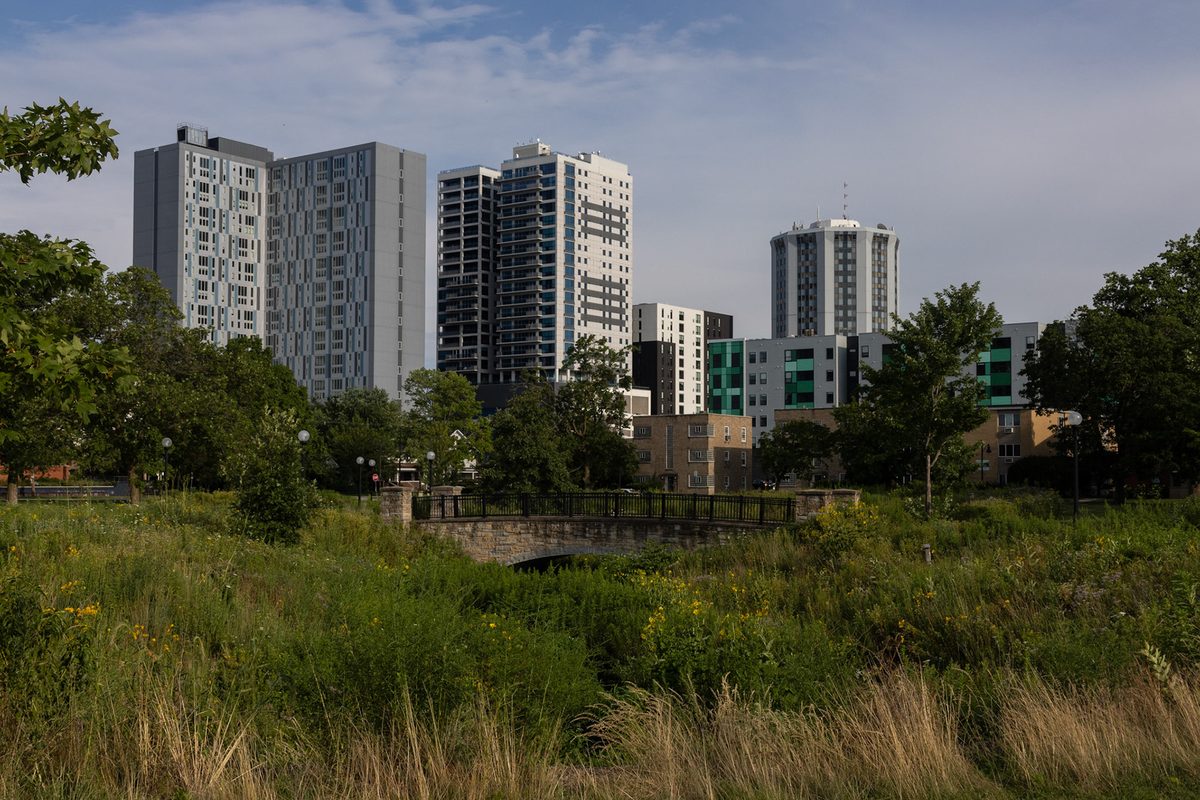 Campustown high-rise towers in Champaign seen across tall prairie grass and a small stone footbridge in Scott Park