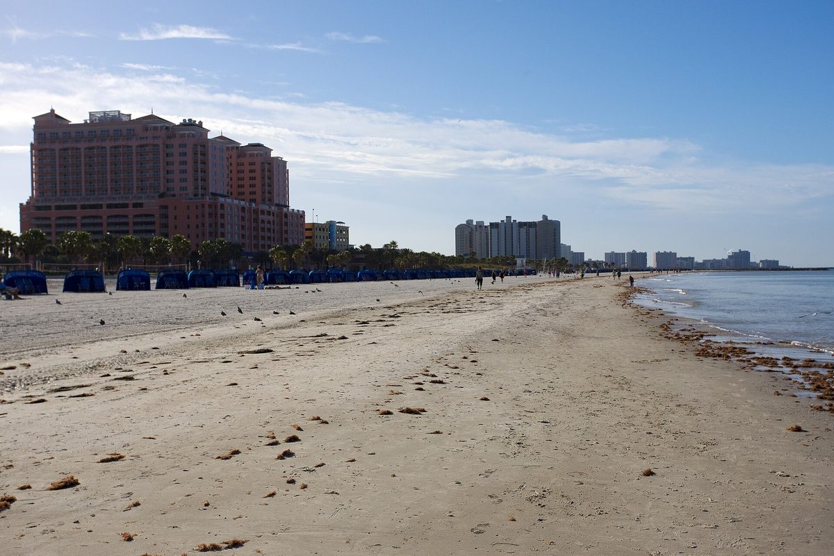 Clearwater Beach on a clear morning, with a row of blue cabanas, tall pink hotels and condo towers along the sand and the Gulf shoreline at right