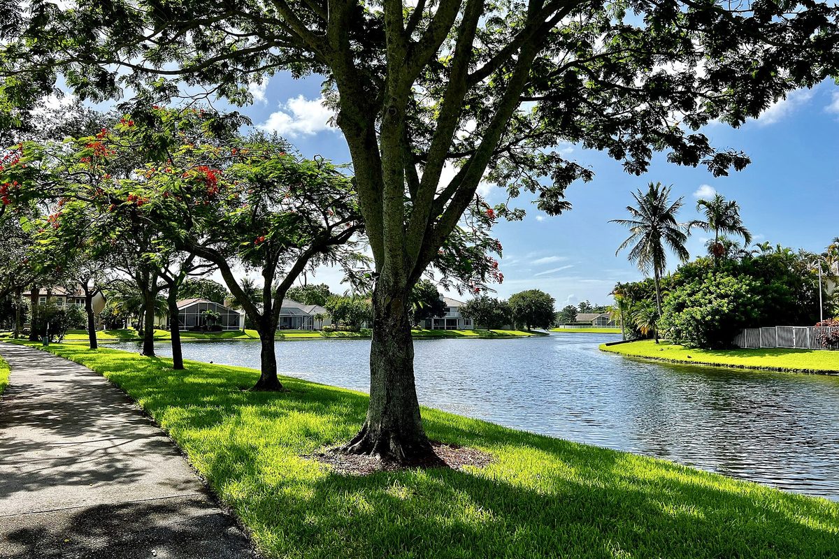 A sidewalk beside a canal in a Coconut Creek neighborhood, lined with shade trees and a red-flowering tree, with houses across the water