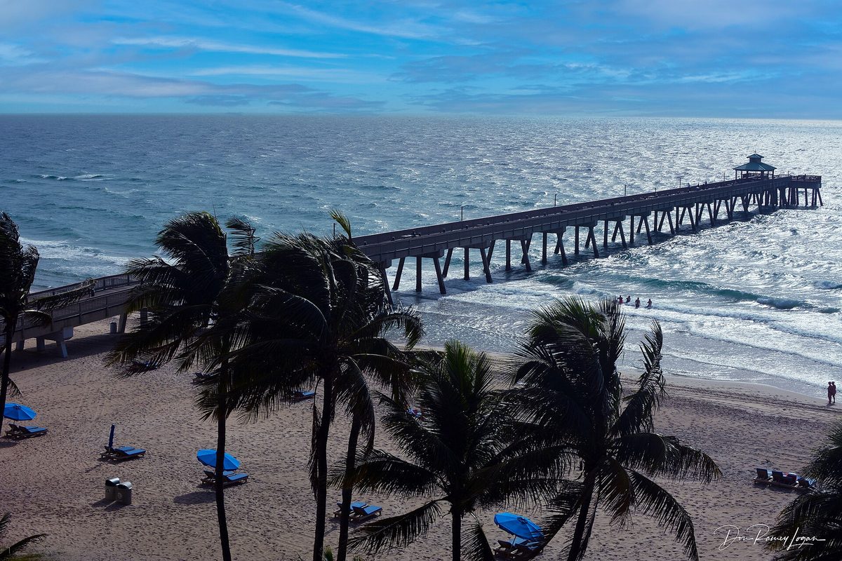 The Deerfield Beach fishing pier reaching into the Atlantic, seen from above palm trees and a beach dotted with blue umbrellas and lounge chairs