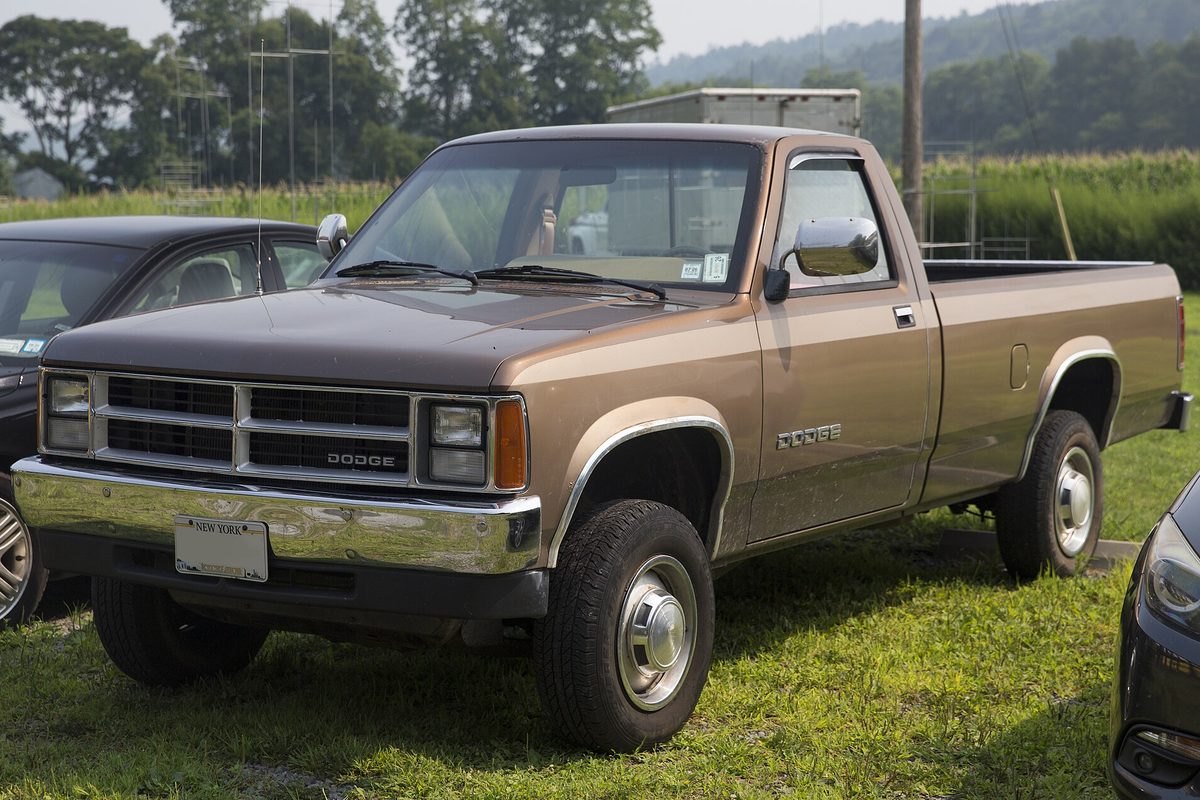A two-tone brown and tan first-generation Dodge Dakota regular-cab pickup parked on grass beside other cars