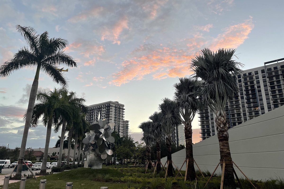 A row of young palm trees and a large metal flower sculpture in downtown Doral at sunset, with high-rise apartment towers behind