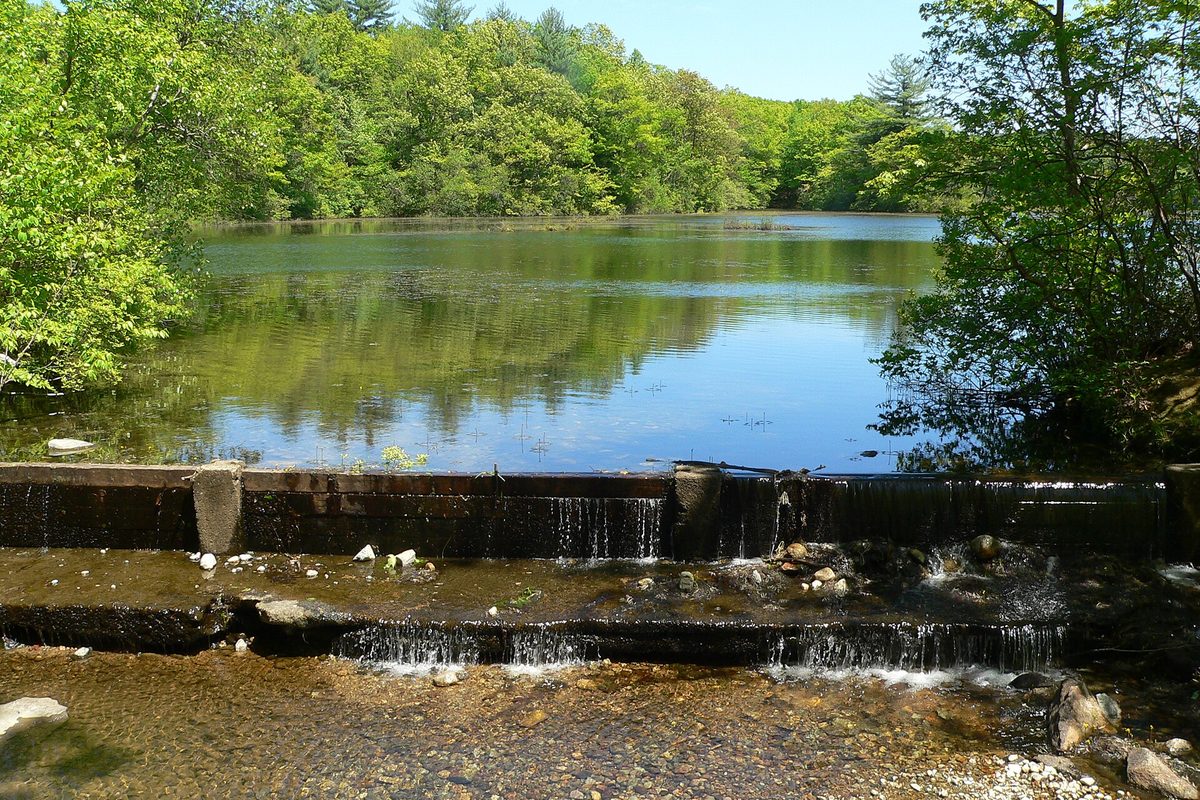 A pond in Borderland State Park behind a low concrete dam, with water spilling over the edge and green woods reflected on the surface