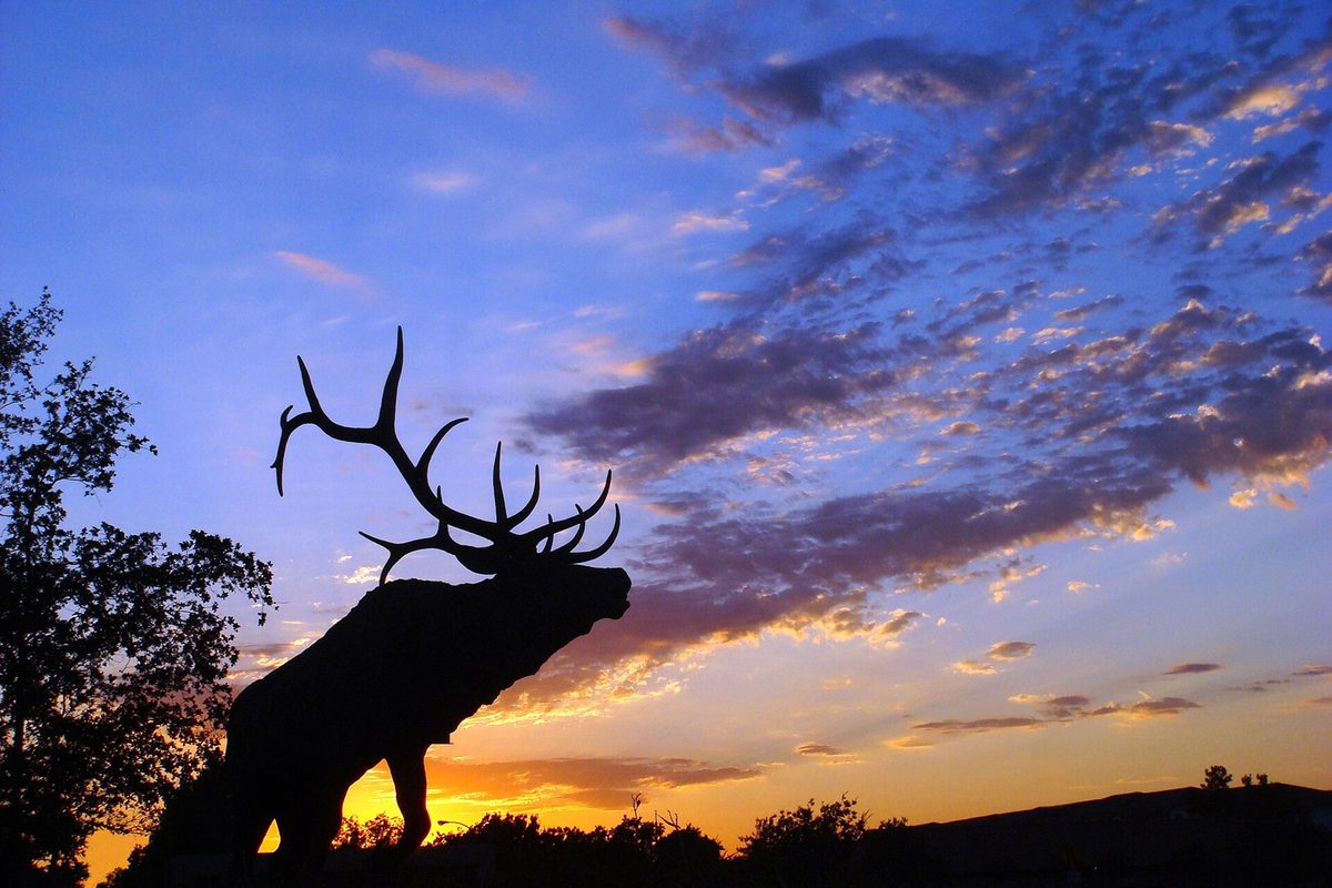 Silhouette of an elk statue with wide antlers against a purple and orange sunset sky on Laguna Boulevard in Elk Grove