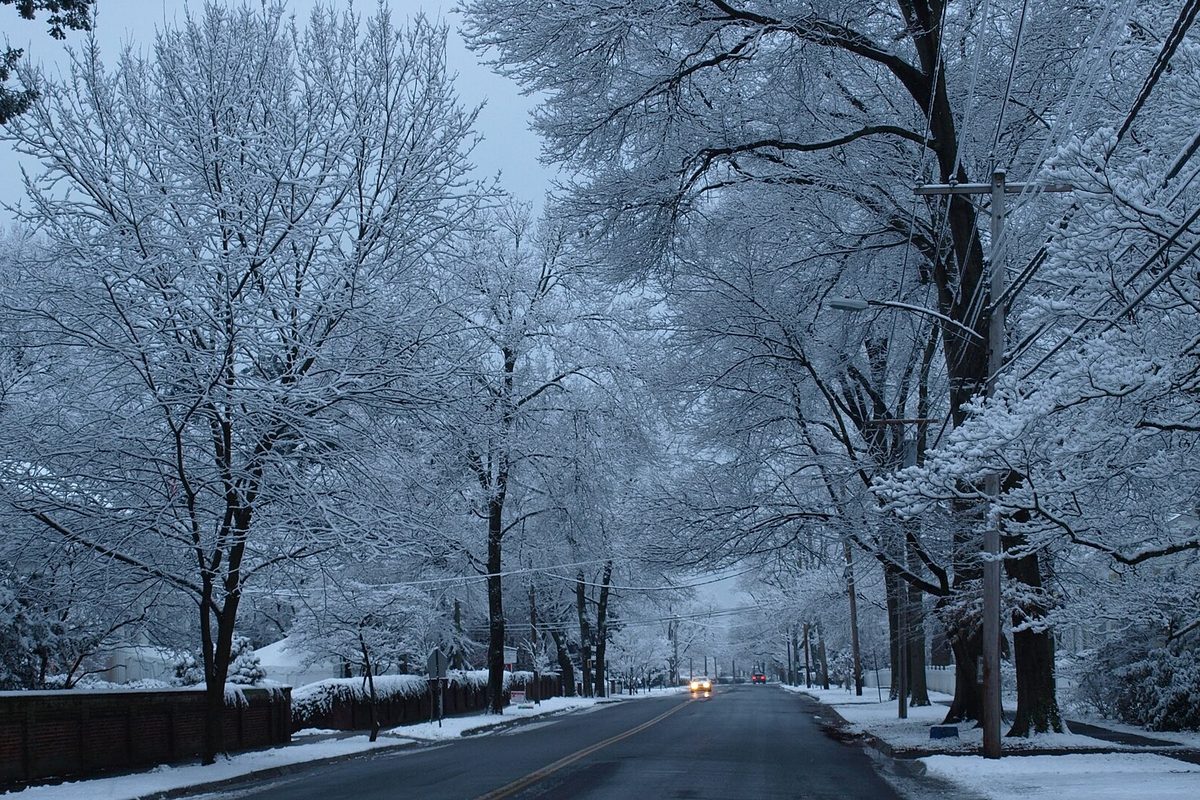A snow-covered, tree-lined street in the Fairfield Historic District at dusk, with a car's headlights far down the road