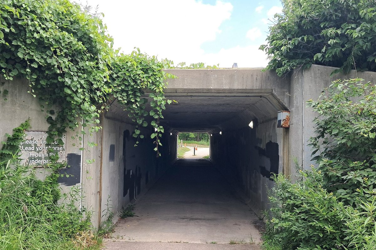 A concrete pedestrian underpass on the Casey Trail at US 45 in Grayslake, with ivy spilling over the walls and a sign beside the entrance