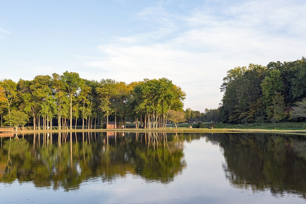 A still pond at a Huntersville office park reflecting a line of tall green trees in soft evening light