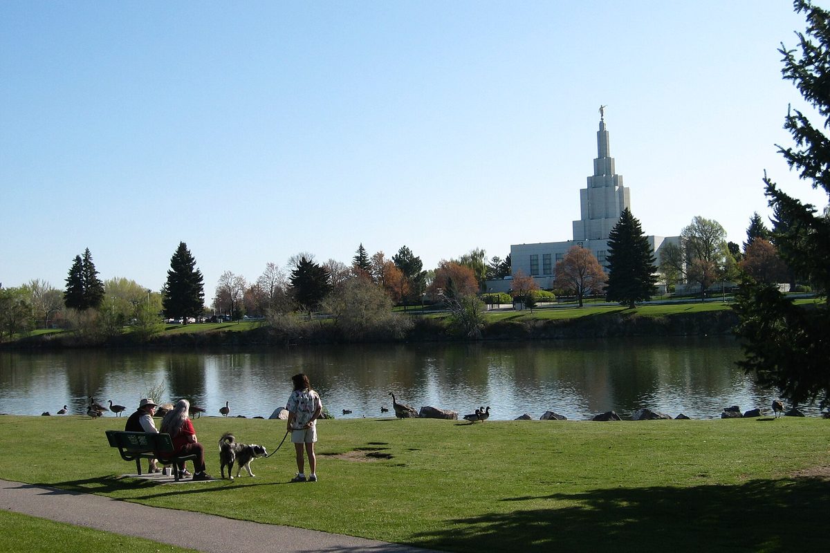 People and a dog on a lawn beside the Snake River in Idaho Falls, with geese at the water and the white spire of the Idaho Falls temple across the river