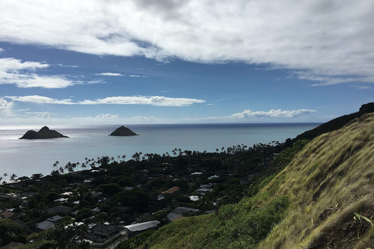 View from a grassy ridge over the rooftops and palm trees of Kailua toward the ocean and two small offshore islands under a cloudy sky