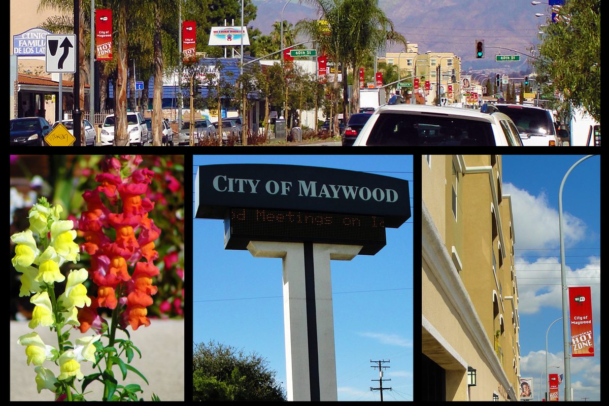 A photo collage of Maywood: a street lined with palm trees and red banners, snapdragons, the City of Maywood sign and an apartment building