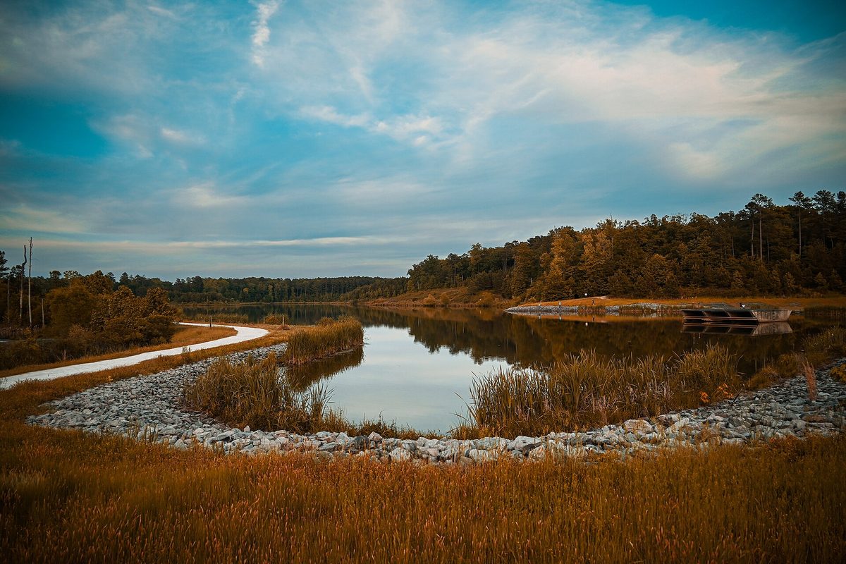 Lake Betz in Research Triangle Park, with tall golden grass, a rock-lined bank and a curving footpath under a blue and white sky