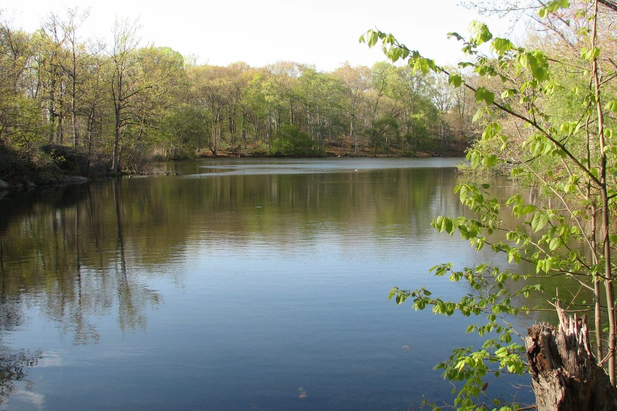 Glenwood Lake in New Rochelle, its still water reflecting the fresh green trees along the far shore in spring