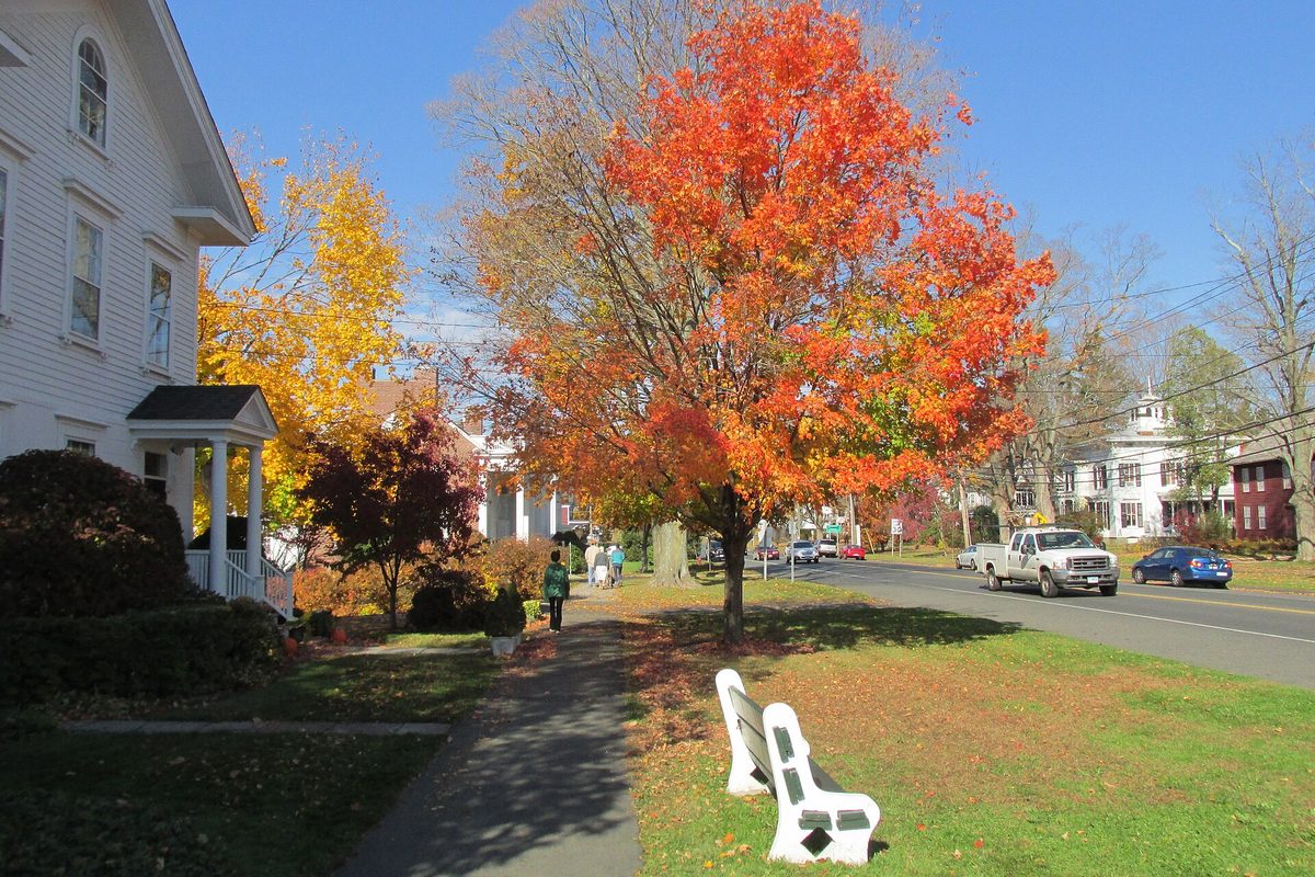 Main Street in Newtown in autumn: a bright orange maple, white benches on the grass, white clapboard buildings and a pickup truck on the road