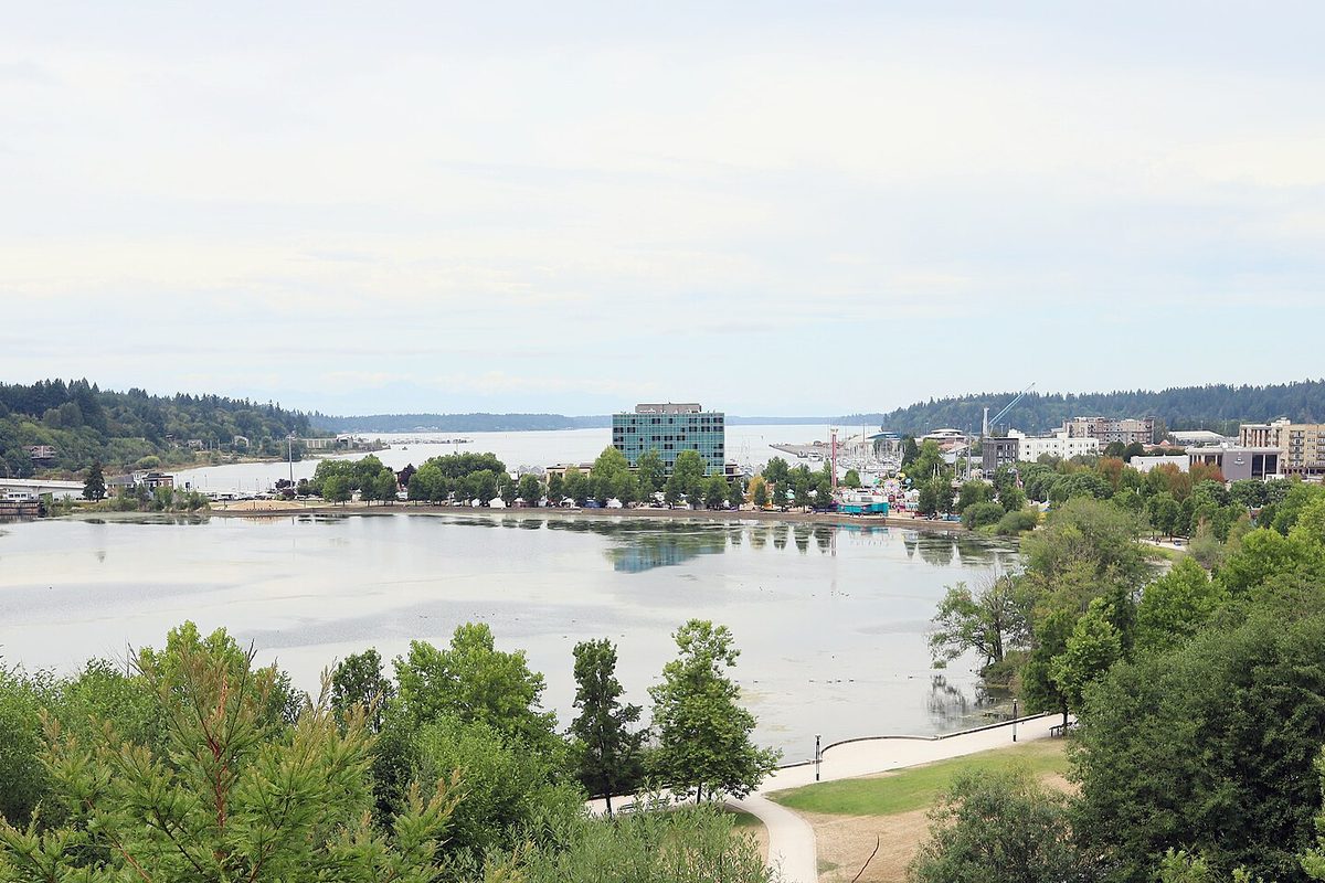 Capitol Lake in Olympia seen from a hillside, with trees in front, a lakeside path and downtown buildings and water beyond