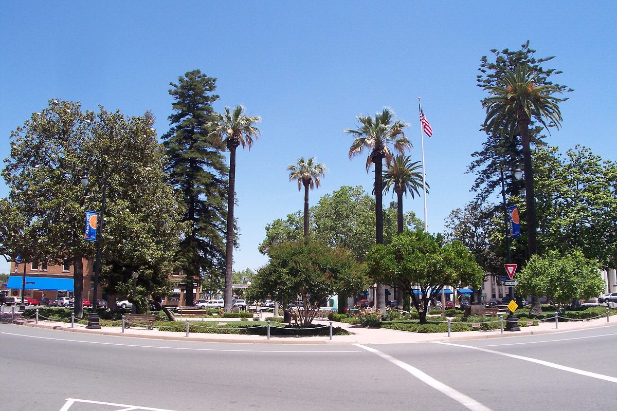 Palm trees, a flagpole and shade trees in the round Plaza at the center of Orange, with a curving street in front under a clear blue sky
