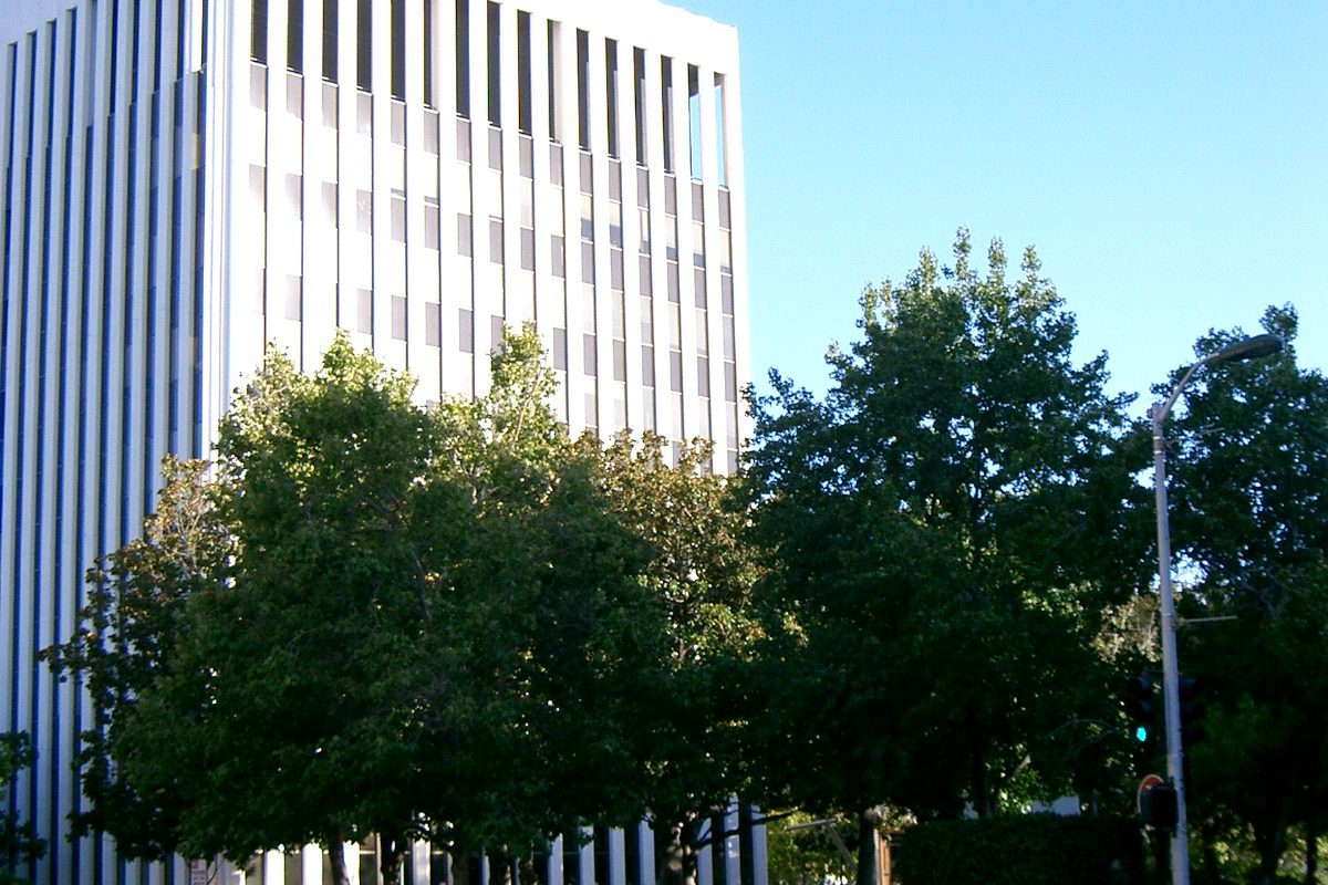 Palo Alto City Hall, a tall white tower with narrow vertical fins, partly hidden behind leafy green trees on a sunny day
