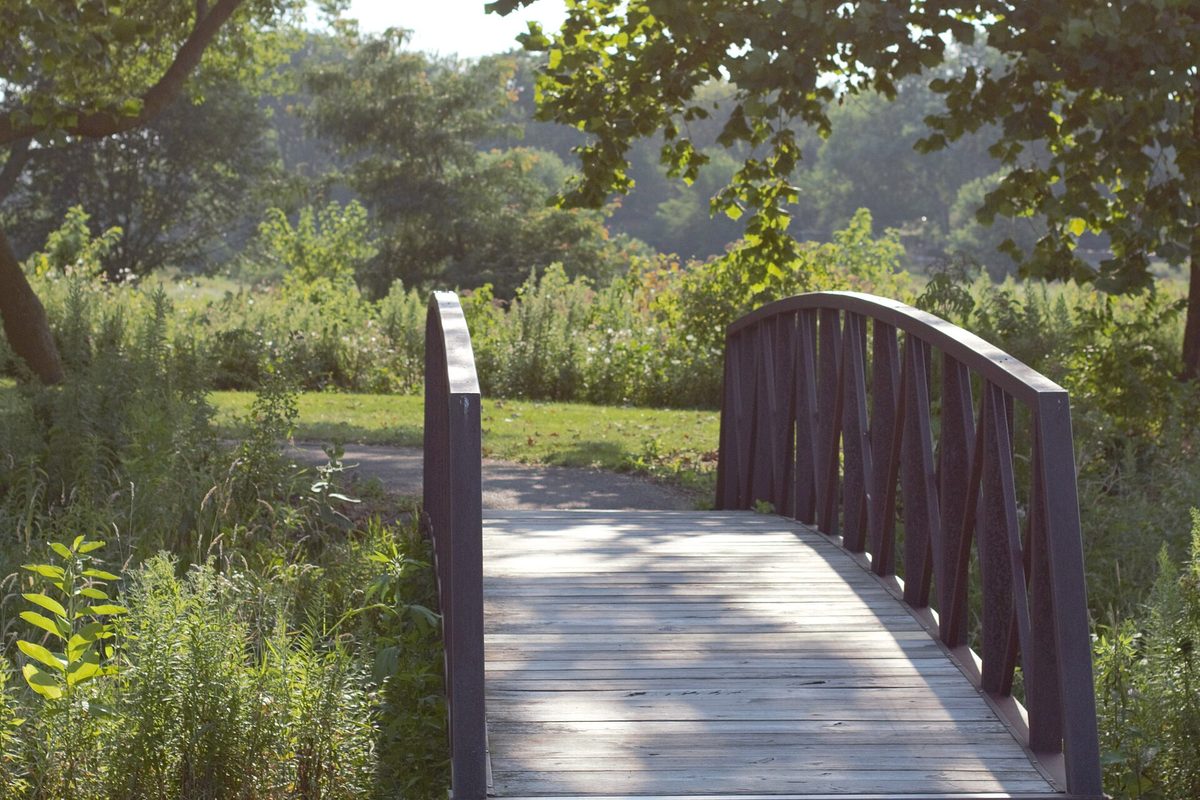 A wooden footbridge with dark arched railings leading into Central Park in Park Forest, with tall grass and shade trees around the path