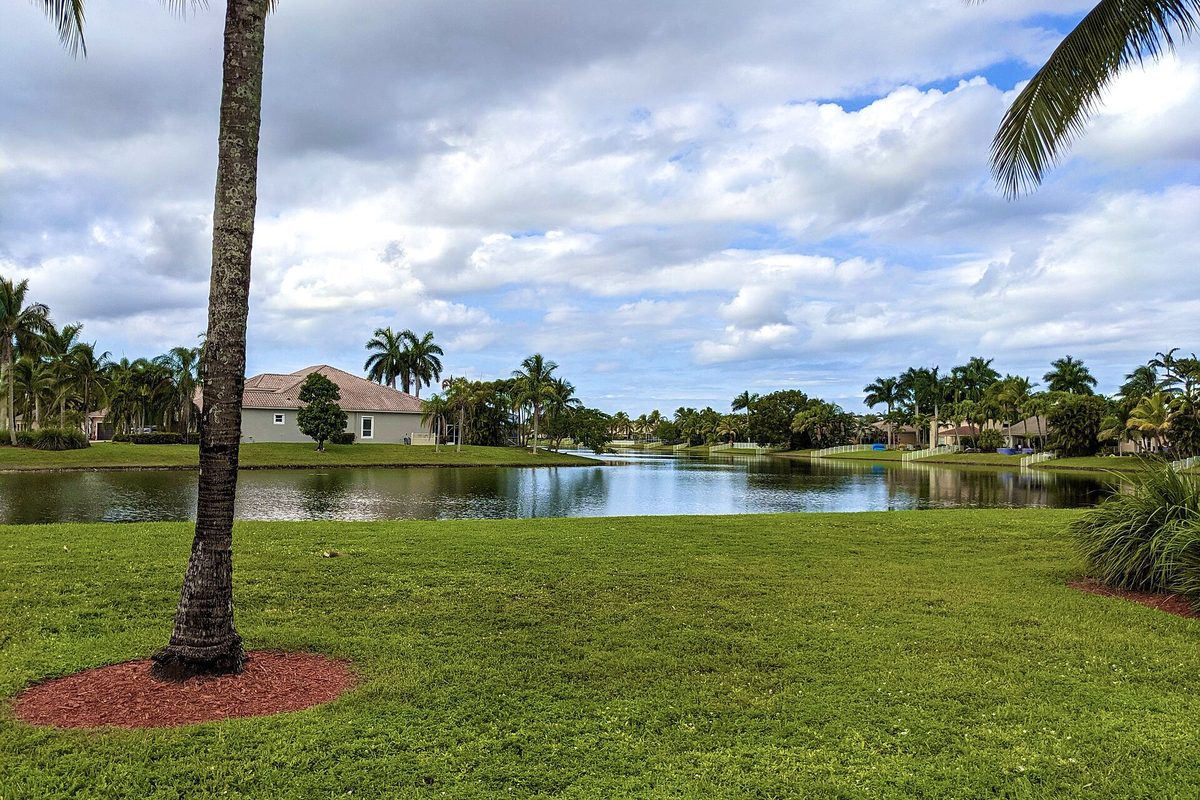 A palm-lined lake with houses on the far shore in a Pembroke Pines neighborhood, a palm trunk in the foreground and clouds overhead