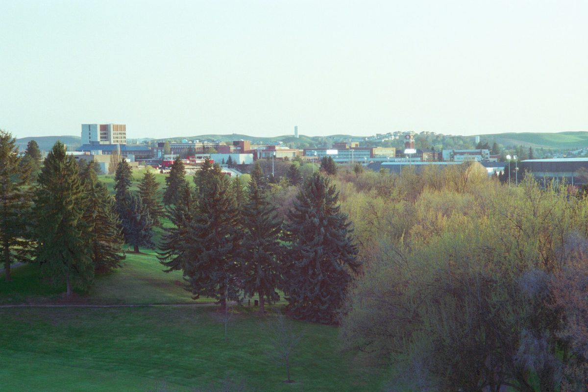 Evergreens and leafing trees in a Pullman park, with town buildings spread along the hills behind