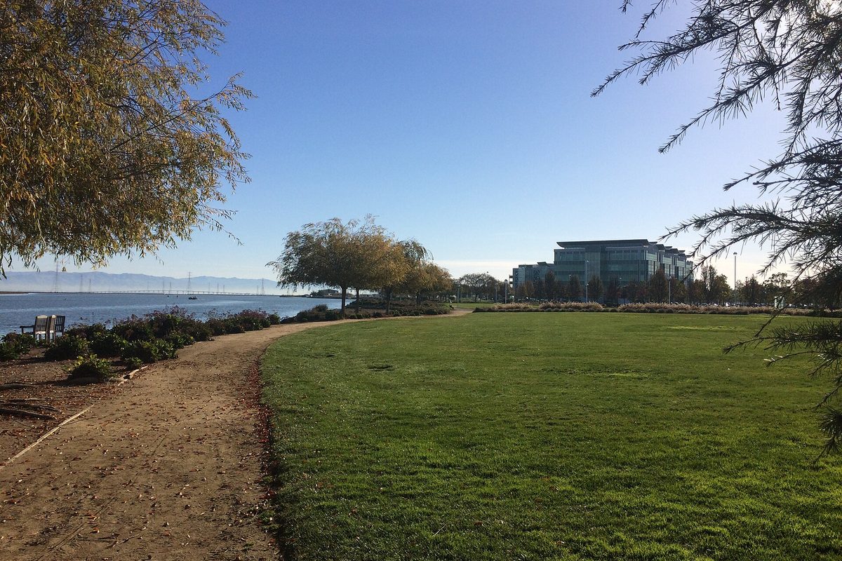 A dirt shoreline path beside the bay at Pacific Shores Center in Redwood City, with a wide lawn, willow trees and a glass office building under a clear sky