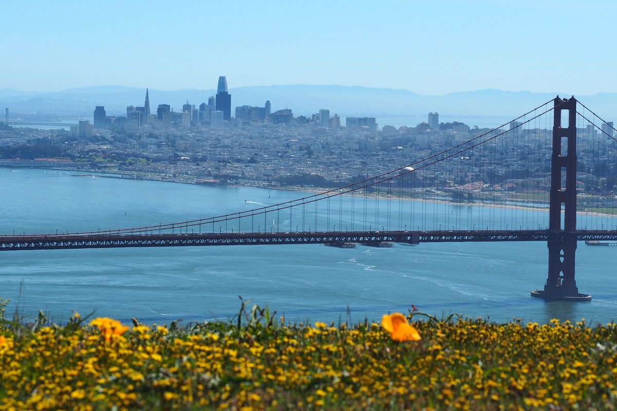 The Golden Gate Bridge and the San Francisco skyline across the bay, seen from the Marin Headlands over a slope of yellow and orange wildflowers