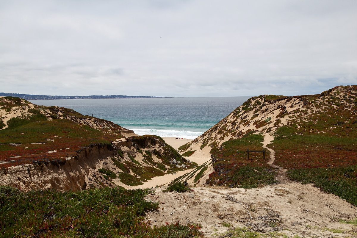 A sandy gap between low dunes covered in ice plant at Fort Ord Dunes State Park, opening onto a beach and the blue water of Monterey Bay under gray clouds