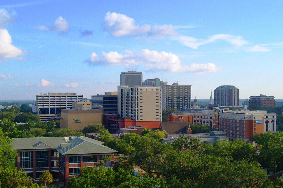 Downtown Tallahassee skyline of office towers and brick buildings rising above a thick canopy of green trees under a blue sky with white clouds