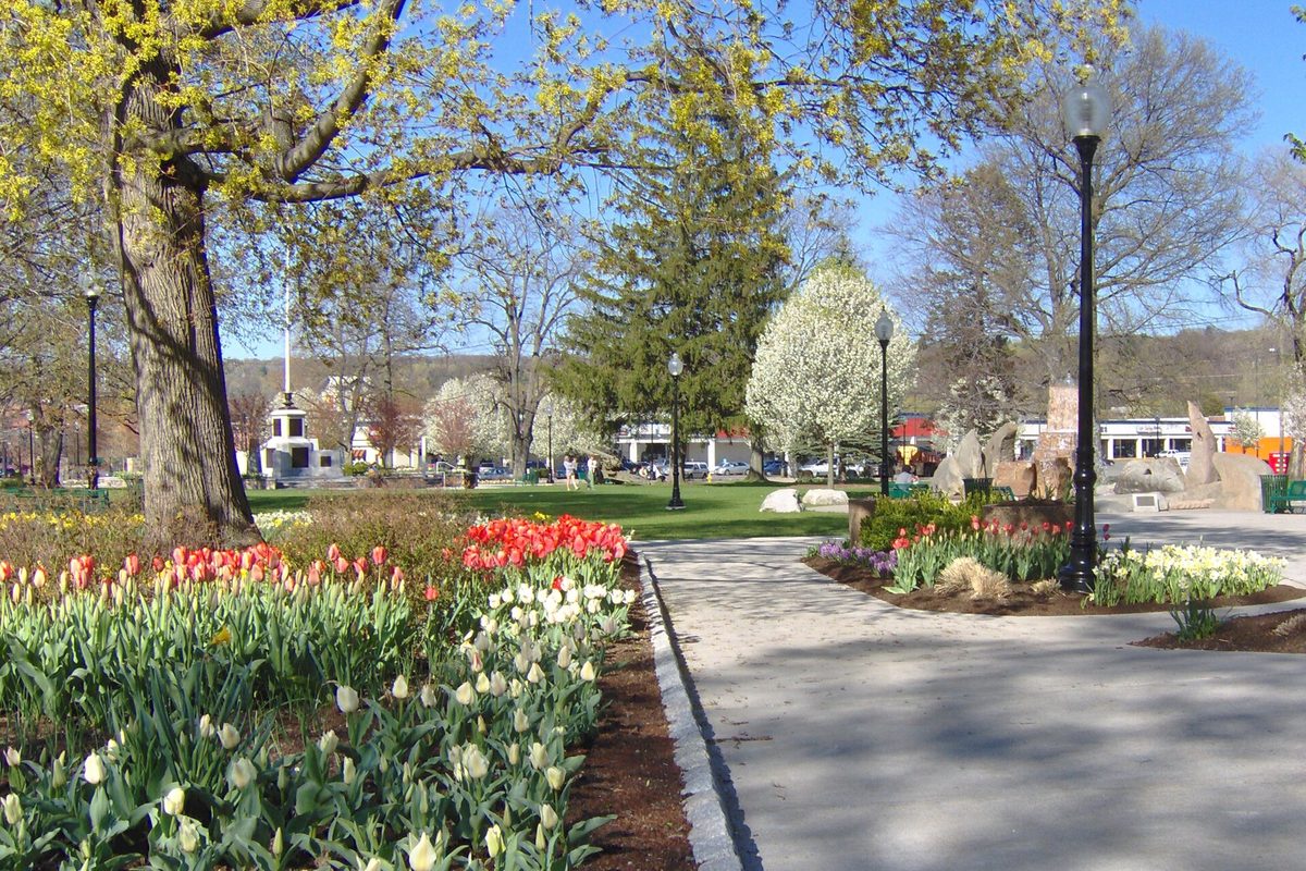 Coe Memorial Park in Torrington in spring, with beds of red, white and yellow tulips beside a curving paved path, flowering trees and black lamp posts