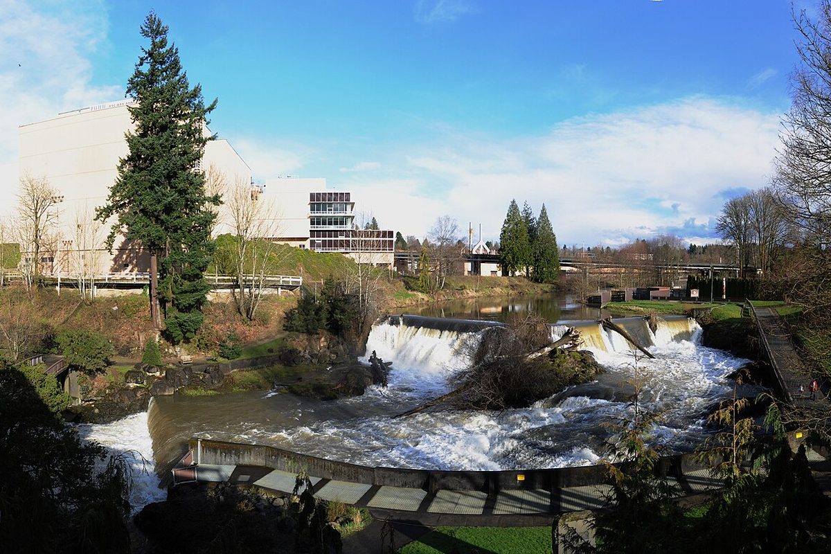 The falls at Tumwater pouring over rock ledges, with tall evergreens, bare trees and buildings on the far bank under a blue sky