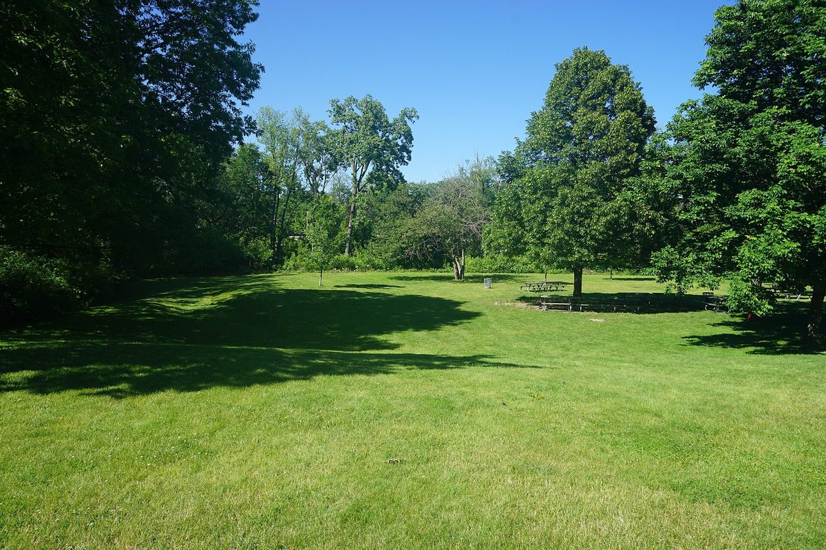 A sunny mown lawn ringed by tall shade trees at Hoyt Park in Wauwatosa, with picnic tables in the distance