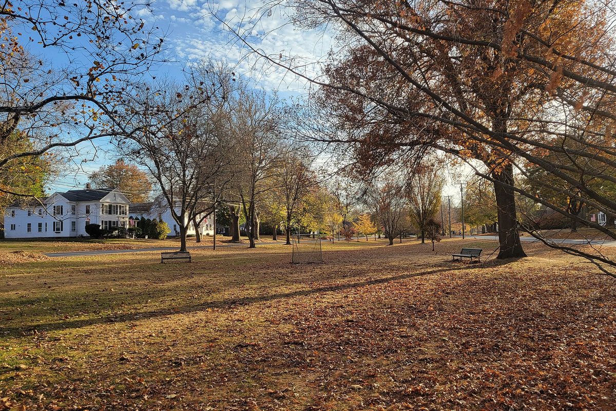 Broad Street Green in Wethersfield in autumn, with fallen leaves, park benches, tall turning trees and white houses beyond